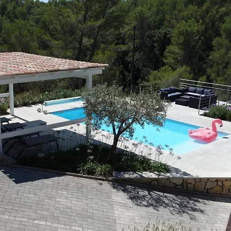 Les Lauriers Blancs Callas