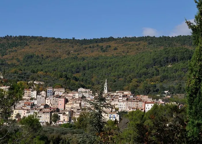 Les Lauriers Blancs 别墅 *